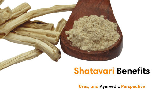 Shatavari Benefits, Uses, and Ayurvedic Perspective