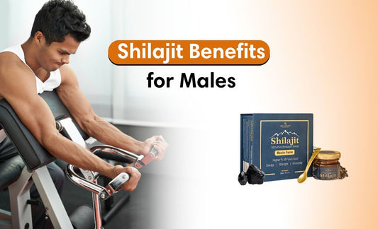 Shilajit Benefits for Males Boost Testosterone, Energy & Stamina Naturally