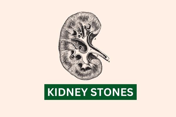 Kidney health in Ayurveda 