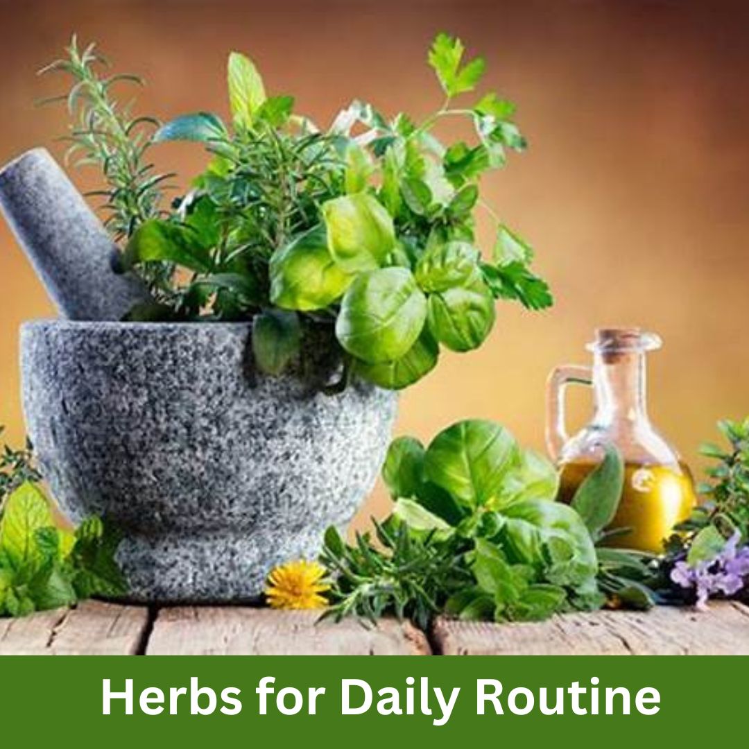 Ayurvedic Diet & Lifestyle Consultation