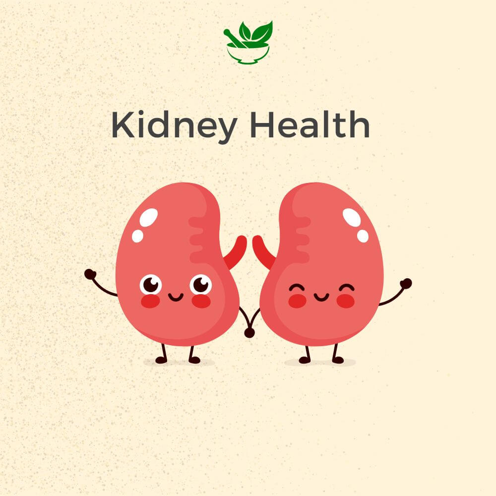 Kidney Care Ayurvedic Management Consultation