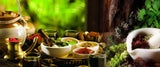 What is Ayurvedic Treatment ?