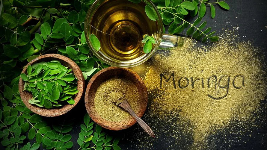 Advantages of Moringa Oleifera: Why Everyone Is Talking About This Powerful Superplant