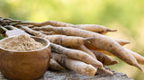 Asparagus racemosus (Shatavari): Benefits, Uses, Safety, and Evidence-Based Guide