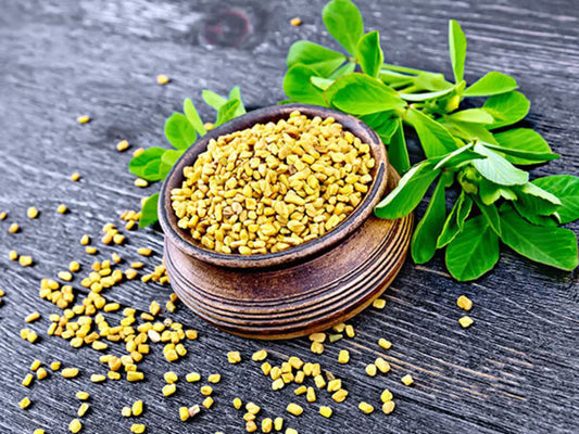 Fenugreek Leaves: Benefits, Nutrition, Uses