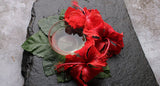 Hibiscus: Benefits, Hair Care & Hibiscus Water Recipe