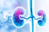 Understanding Nephrotic Syndrome