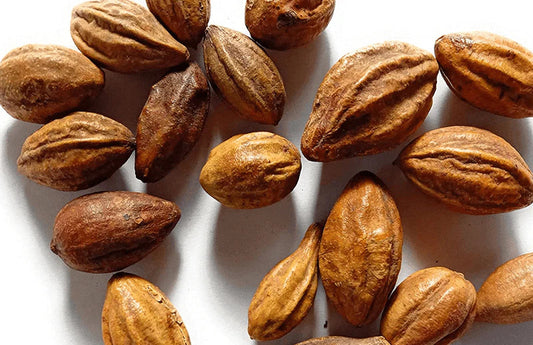 Terminalia Chebula (Haritaki) fruit with powder showing benefits for digestion and gut health