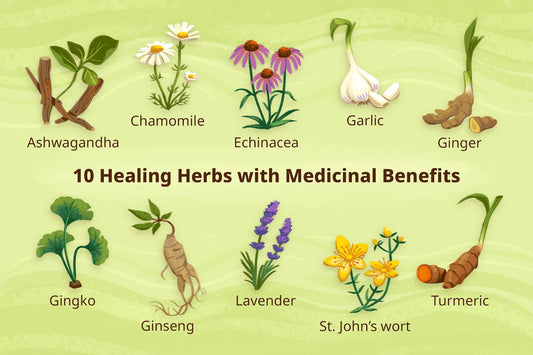 Top 10 Herbs