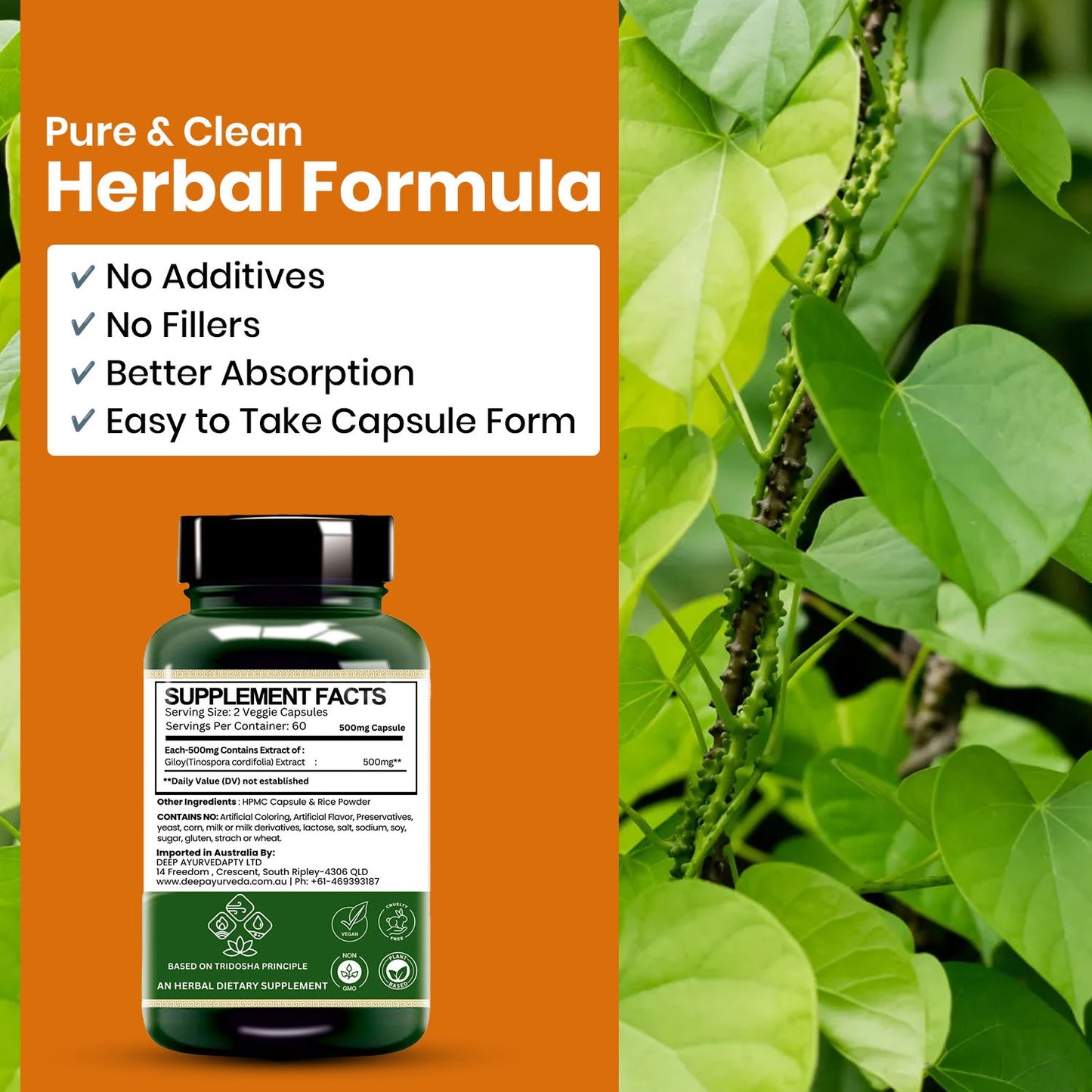 Giloy (Tinospora cordifolia) Vegan Capsule 500mg 10:1 Extract Based | Enhance immunity, Aid digestion & Antioxidant