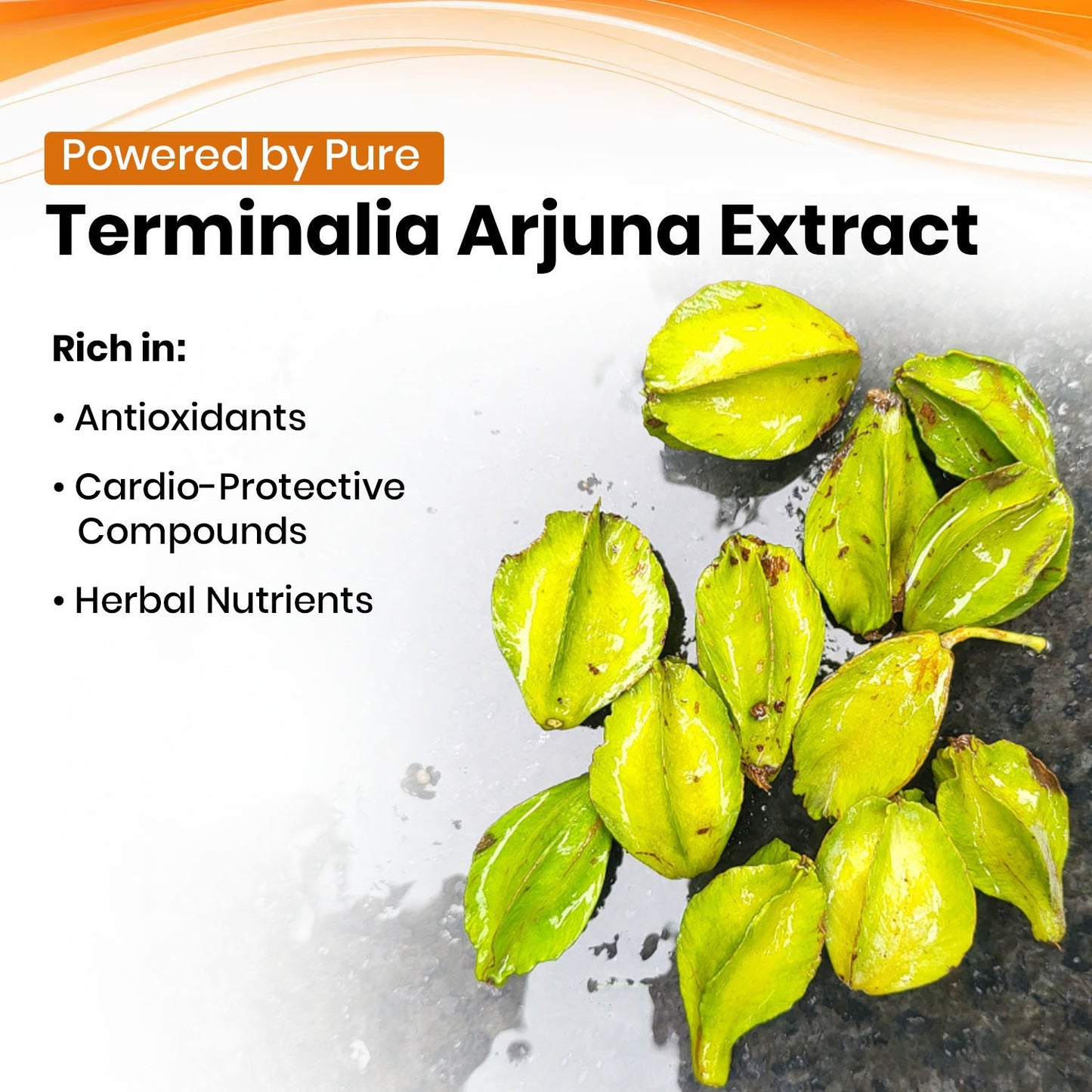 Arjuna 10:1 Extract Based Vegan Capsule | Support Heart Health, Blood Circulation, Blood Pressure, & Enhancing Overall Cardiac function