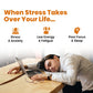 Ashwagandha Capsules – Natural Stress Relief & Mental Clarity