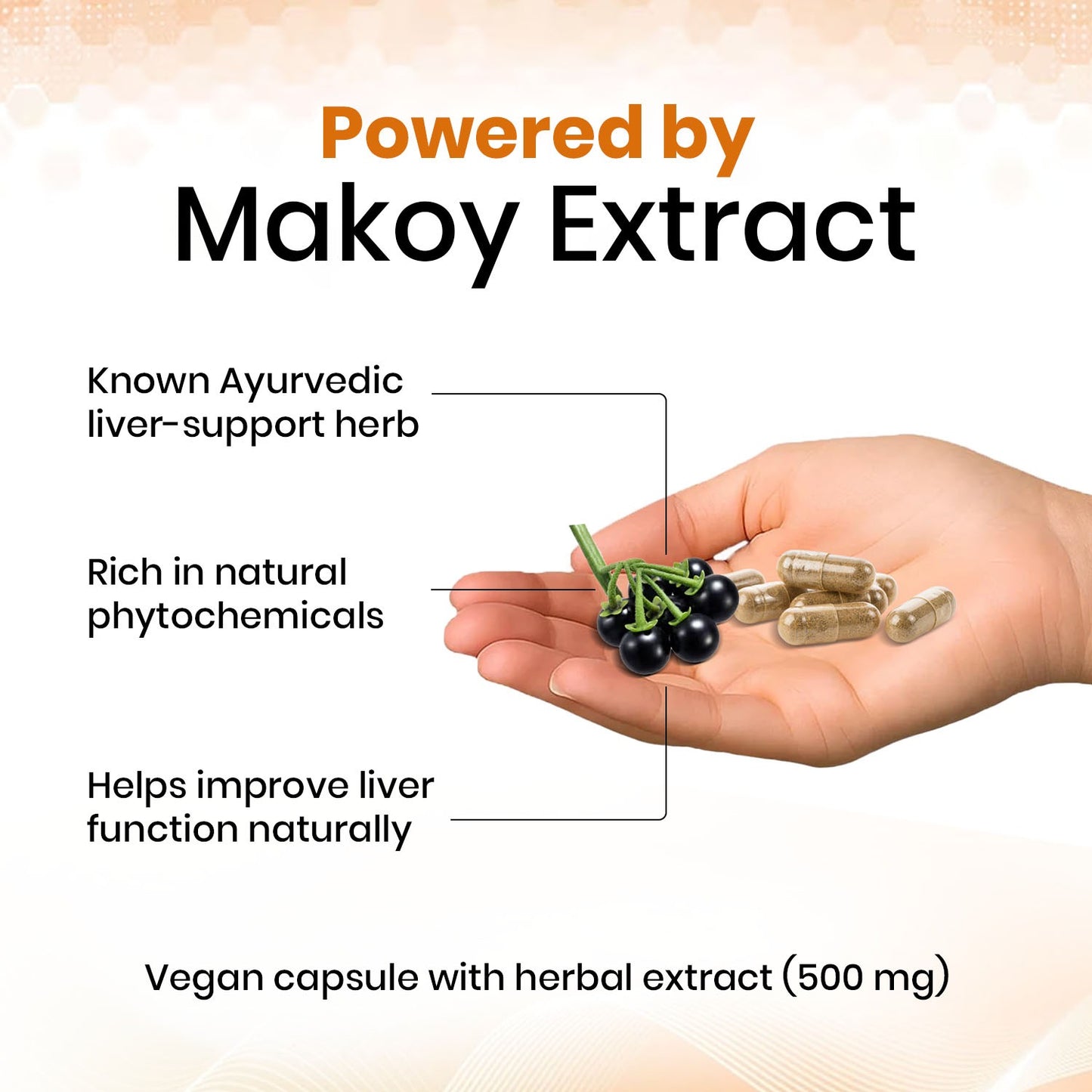Makoy (Solanum nigrum) Vegan Capsule Liver Health, Aid digestion, Improve Appetite and Detoxification