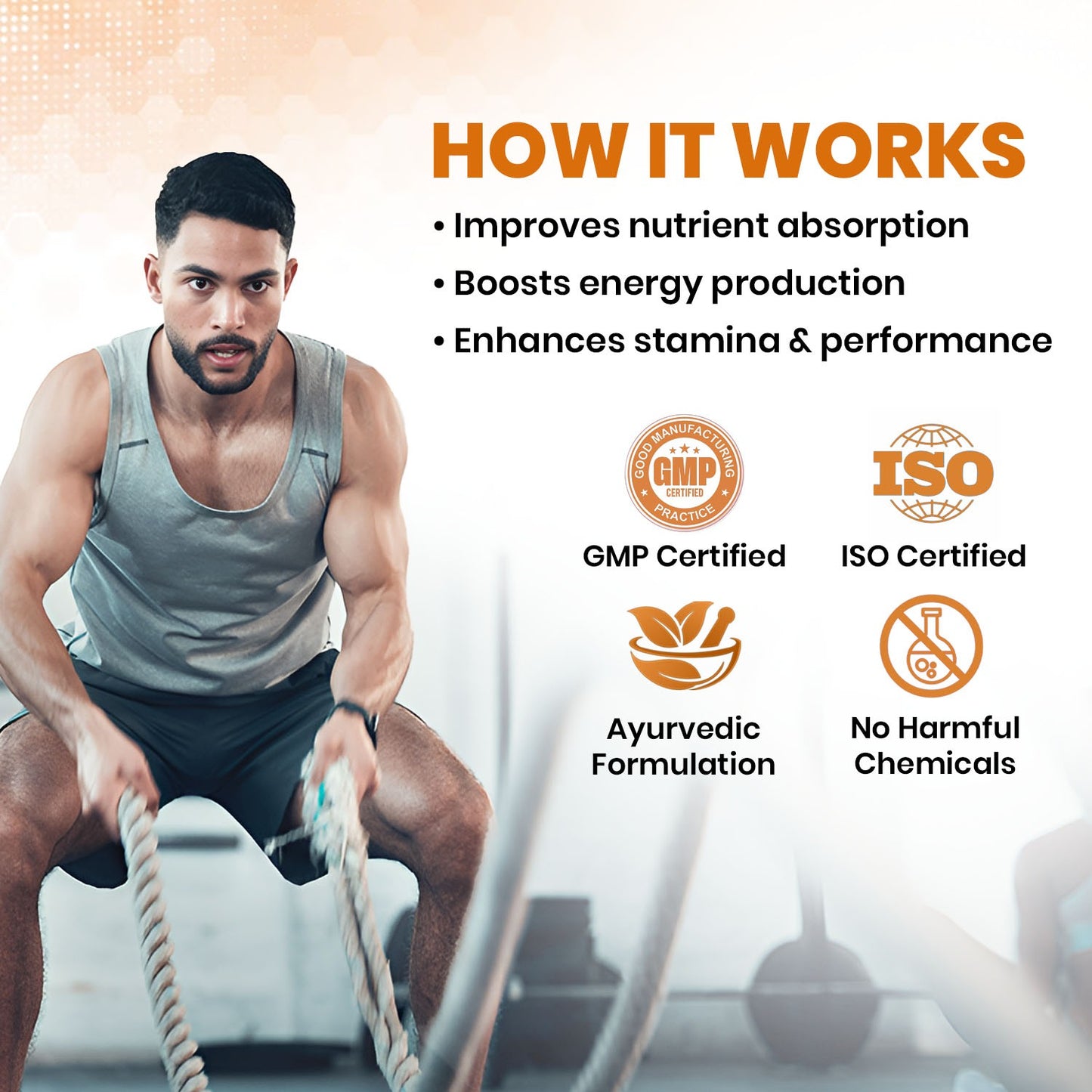 Shilajit Vegan Capsules – 500mg | Himalayan Energy & Vitality Booster | 60 Caps