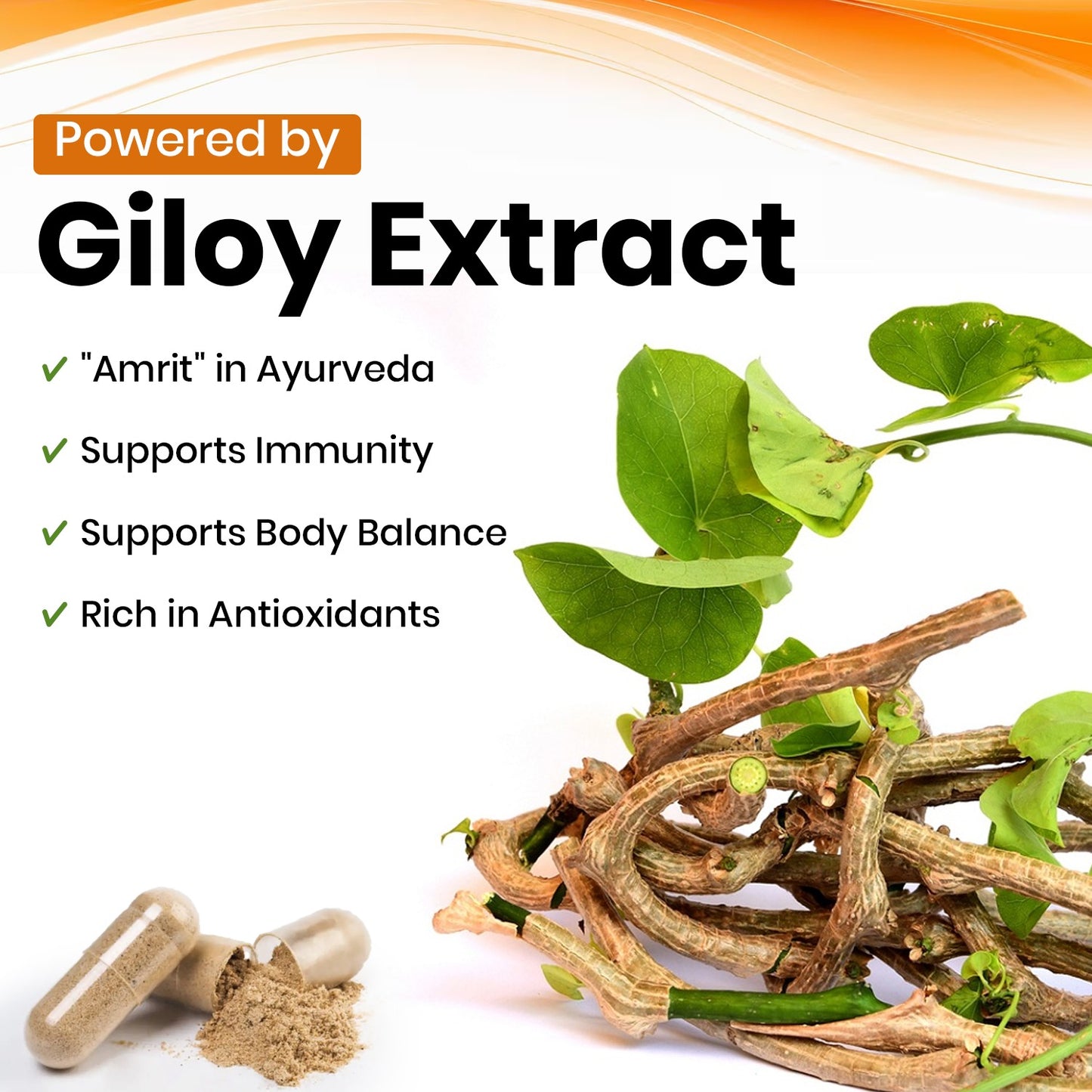 Giloy (Tinospora cordifolia) Vegan Capsule 500mg 10:1 Extract Based | Enhance immunity, Aid digestion & Antioxidant