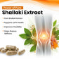Shallaki ( Boswellia serrata ) Extract Vegan Capsule | Bone Health, Joint pain, Stiffness, and Inflammation