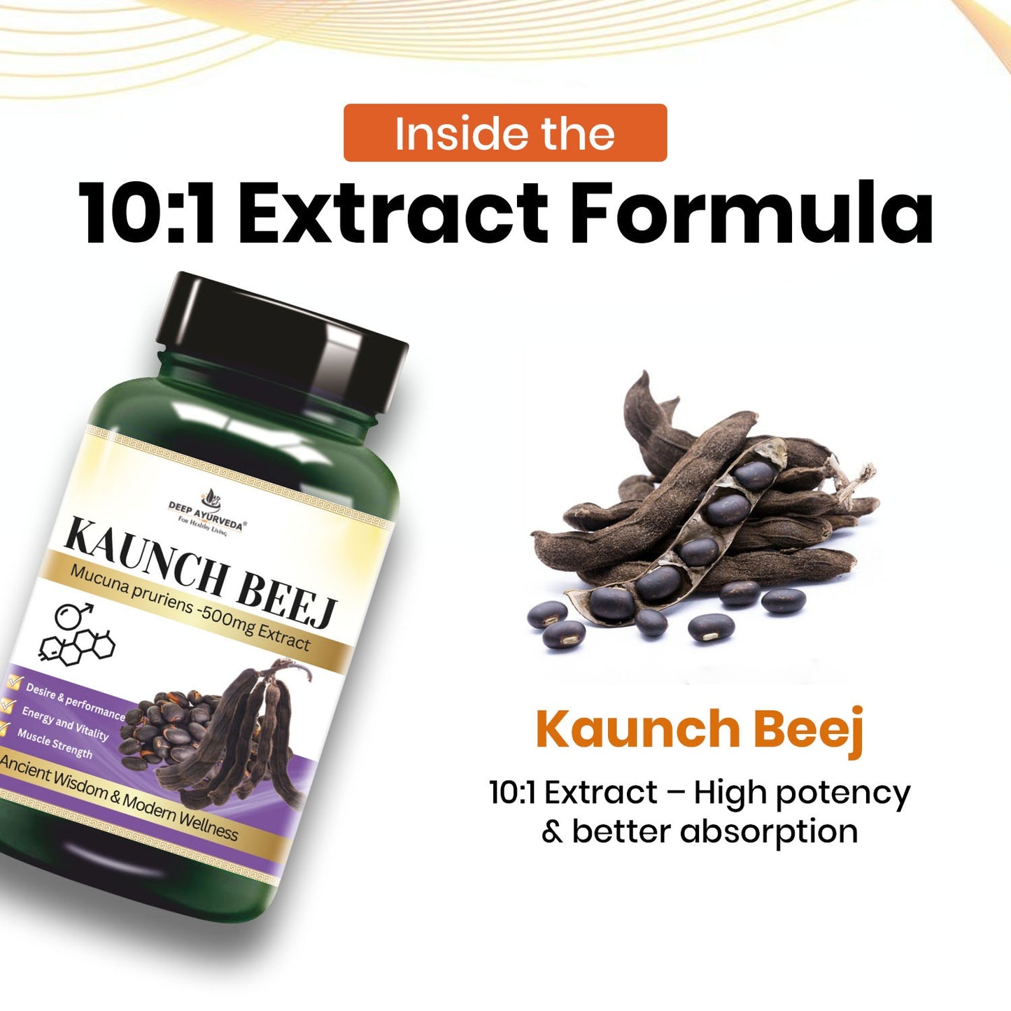Kaunch Beej  10:1 Extract 60 Vegan Cap 30 Day Supply, 20% L-Dopa, 500 mg Concentrated & Standardized 10X Extract