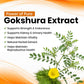 Gokshura Vegan Capsules | Tribulus Terrestris Extract-95% Extra Strength, Total Saponins,500mg-60 Cap
