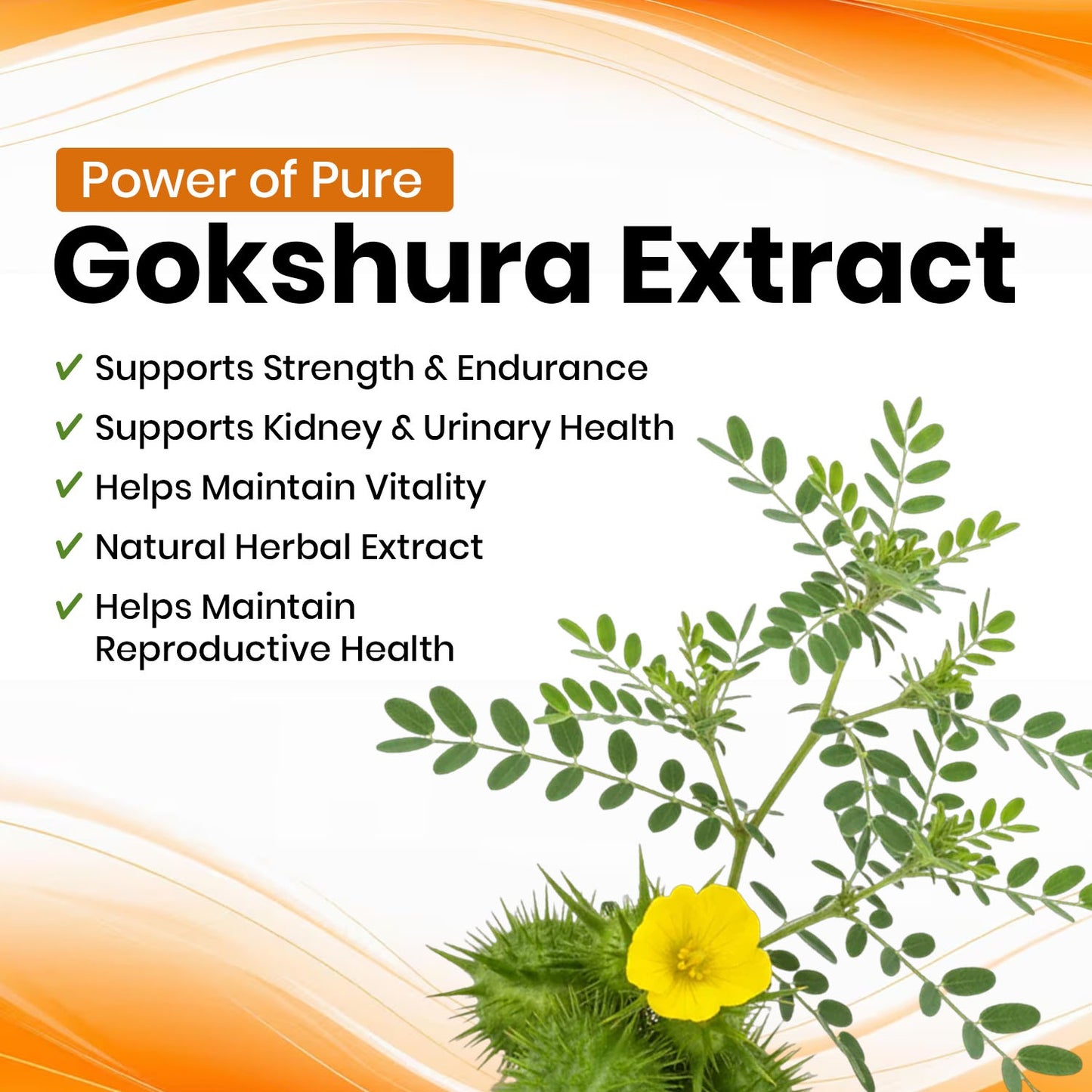 Gokshura Vegan Capsules | Tribulus Terrestris Extract-95% Extra Strength, Total Saponins,500mg-60 Cap