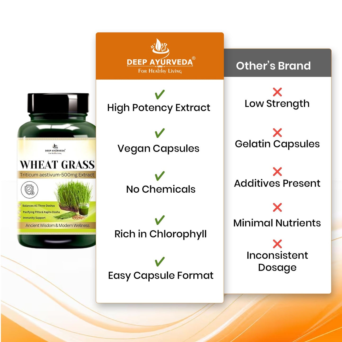 Wheatgrass Vegan Capsule 10:1 extract | Rich in Vitamins, Minerals, and Antioxidants | Immune Function & Enhance Energy Levels