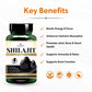 Benefits of Shilajit Capsule