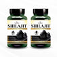Shilajit Vegan Capsules – 500mg | Himalayan Energy & Vitality Booster | 60 Caps