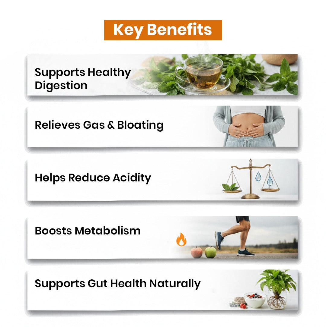 Organic Ajwain Powder (Trachyspermum ammi)
