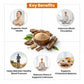 Organic Arjuna Bark Powder (Terminalia Arjuna)
