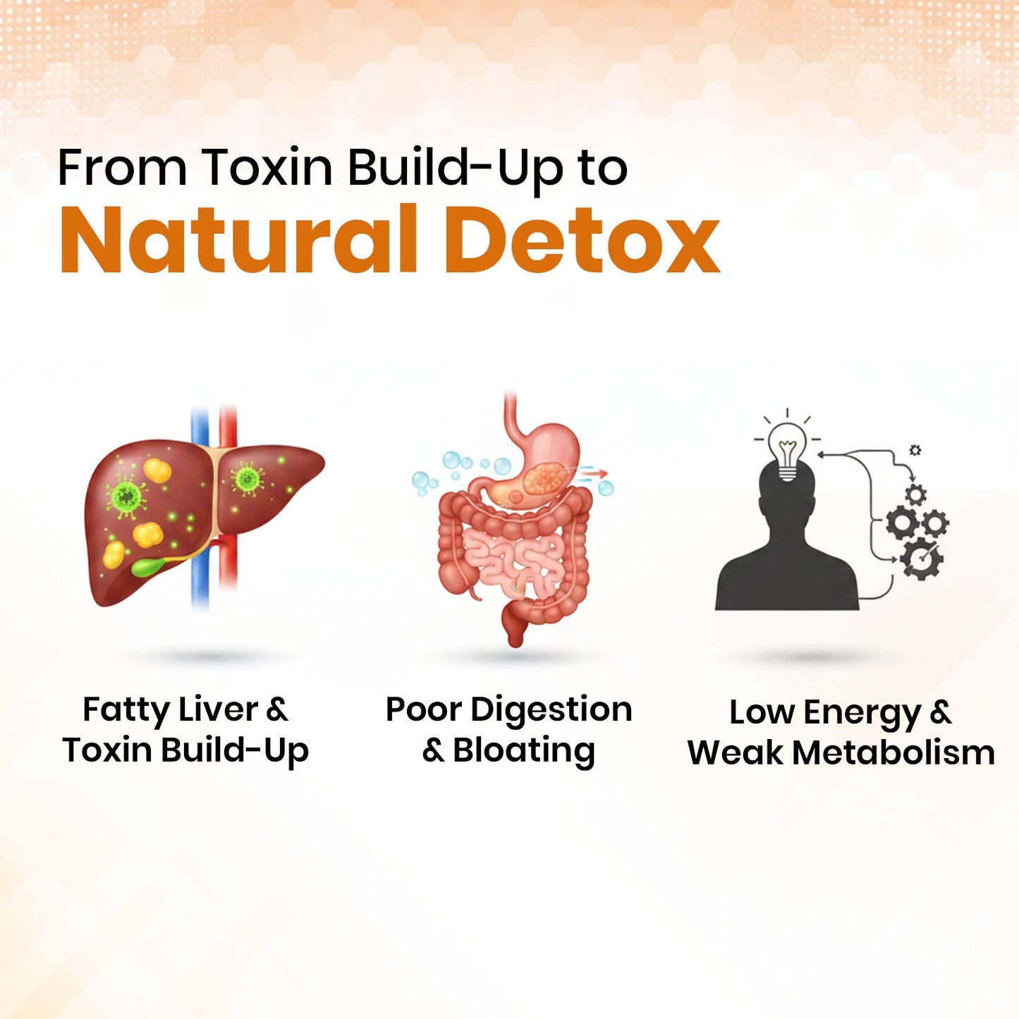 Makoy (Solanum nigrum) Vegan Capsule Liver Health, Aid digestion, Improve Appetite and Detoxification
