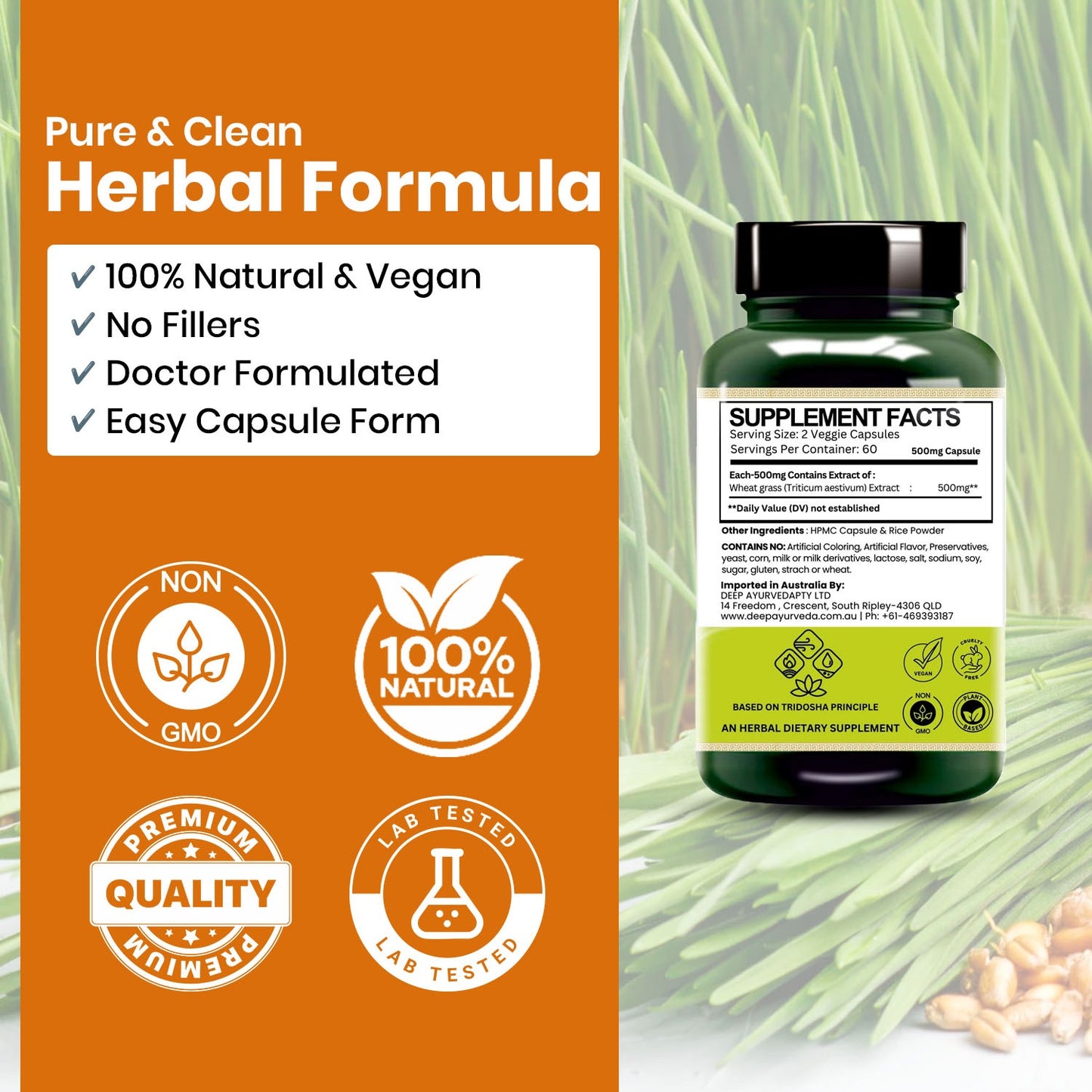Wheatgrass Vegan Capsule 10:1 extract | Rich in Vitamins, Minerals, and Antioxidants | Immune Function & Enhance Energy Levels