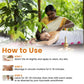 Ksheer Oil For Ayurveda and Panchakarma Therapy