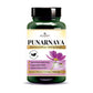 Punarnava (Boerhavia diffusa) Vegan Capsule Made with 10:1 Extract | Support Kidney & Liver Health Liver & Detoxification