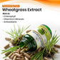 Wheatgrass Vegan Capsule 10:1 extract | Rich in Vitamins, Minerals, and Antioxidants | Immune Function & Enhance Energy Levels