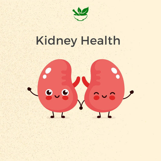 Kidney Care Ayurvedic Management Consultation